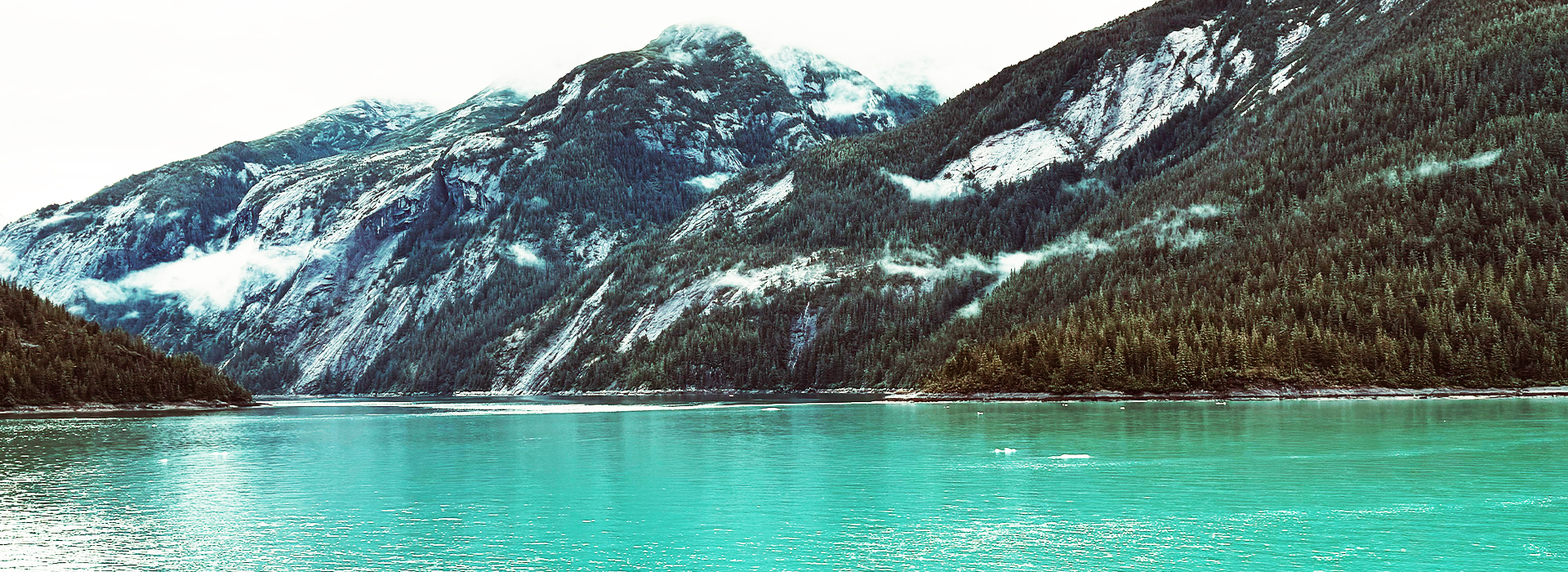 Embracing In-Between Intuitive Life Coaching at Embracing In-Between MN